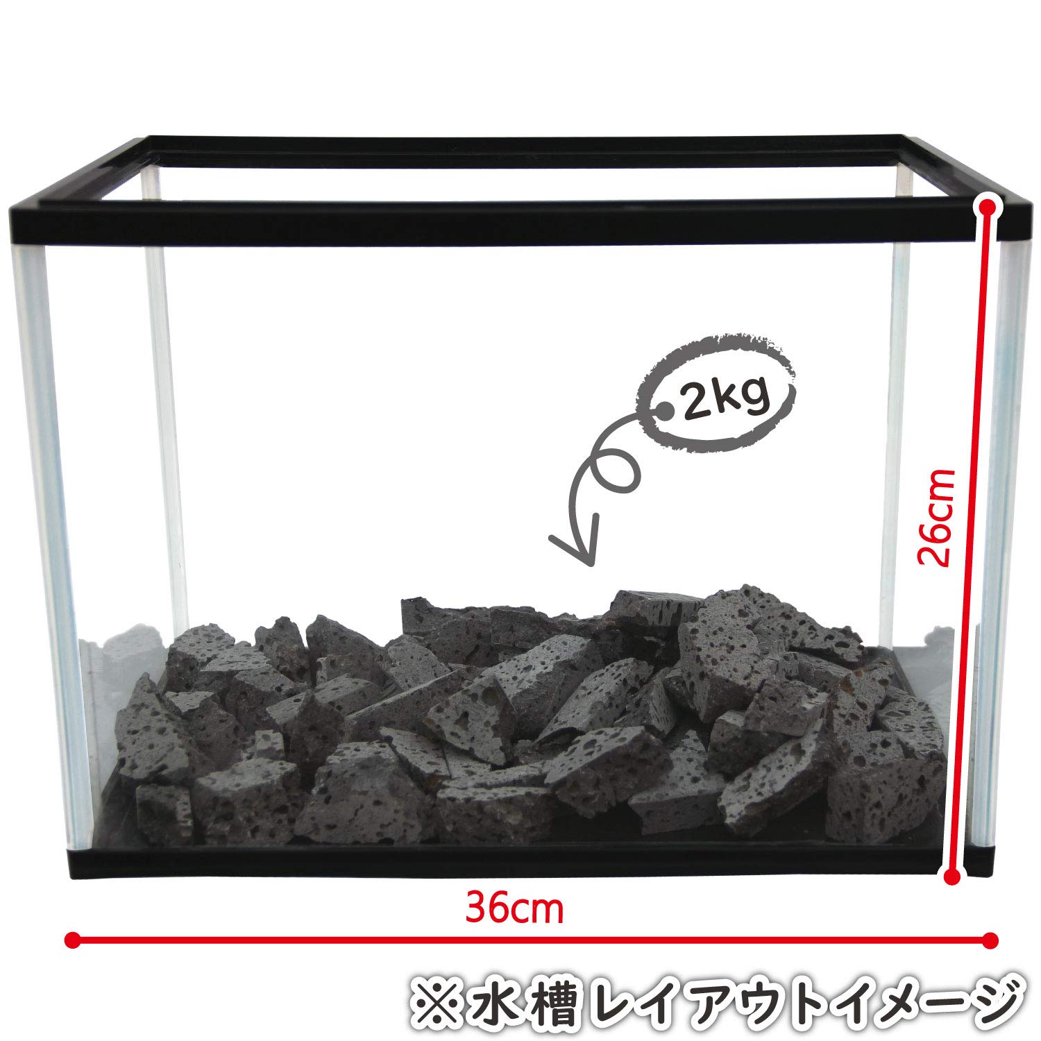 Amazon | ボルケーノロック【サイズSS】【2kg入り】天然溶岩石 水槽用